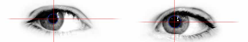 BioMed Catalogue Vestibular EN New Edition 2025 2026 web 3 pdf image 032