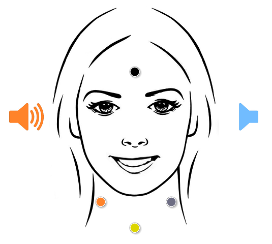 BioMed Catalogue Vestibular EN New Edition 2025 2026 web 3 pdf image 071